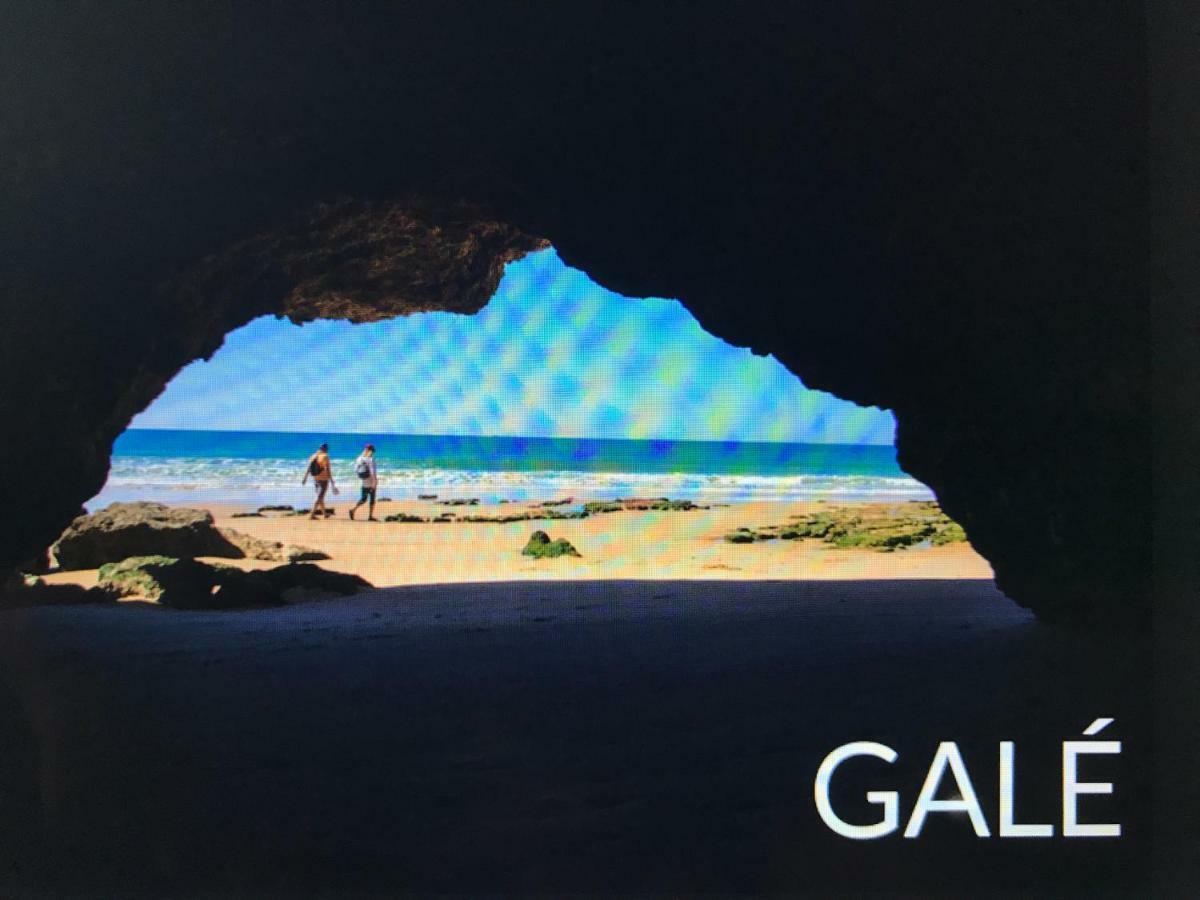 Palmeira Gale Albufeira Zewnętrze zdjęcie